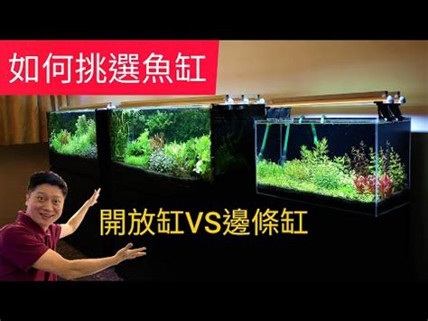 魚缸形狀|【常見魚缸尺寸】水族新手必看！教你挑選魚缸，常見魚缸尺寸一。